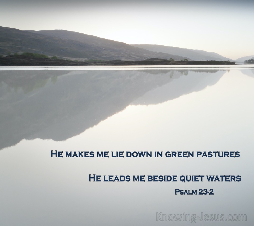 Psalm 23:2 He Leadeth Me Beside Still Waters (navy)